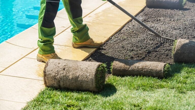 Pool Installation in Summer 2026 Costs, Trends, and Smart Planning for Your Backyard Oasis